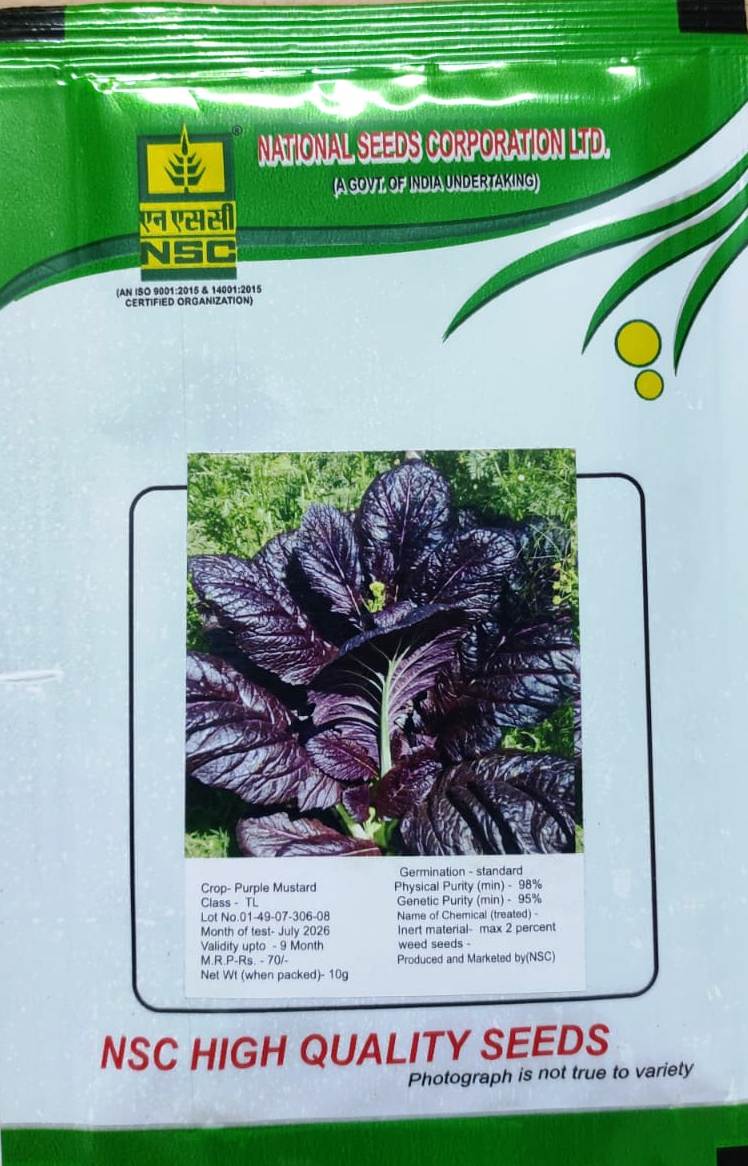 NSC PURPLE MUSTARD 10 GRAM  PACK