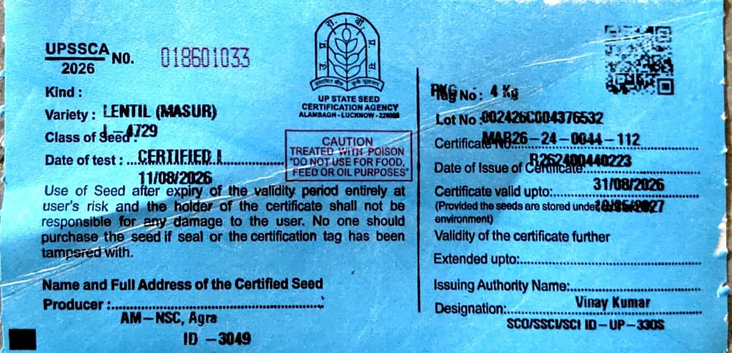 LENTIL- L-4729 CS   4 KG SIZE