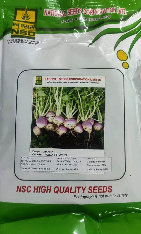 NSC TURNIP PUSA SWETI 100 GM PACK