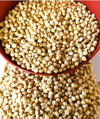 Nsc Sorghum Spv-2217/TL/ 1 Kg