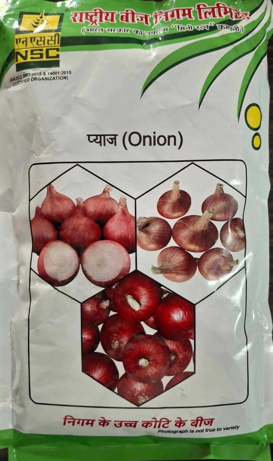 NSC Bhima Super Onion TL Seeds (250g)