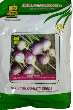 NSC TURNIP VARIETY PTWG  100 gm Truthfully Labelled Seed Pouch