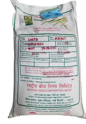 NSC Certified Oat Seed Kent Variety 25kg Bag