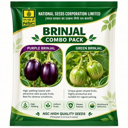 NSC Brinjal Seed Combo Pack (Purple and Green Brinjal)