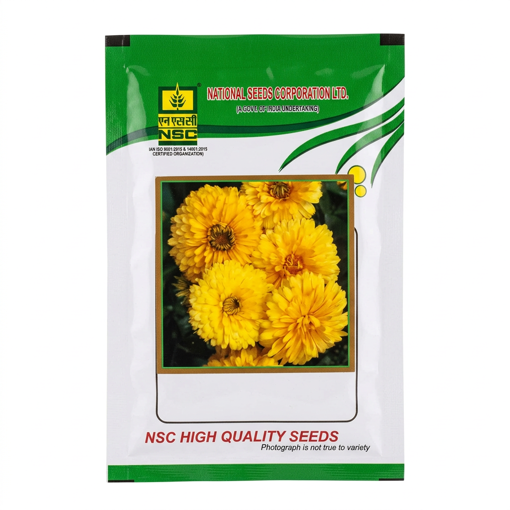 Nsc Calendula Yellow Gitana Flower Seed-5 gm