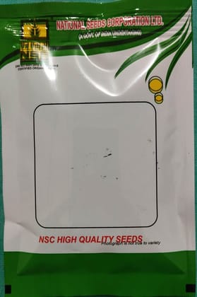 NSC CROP - KALE- PUSA - KALE - 50 GMS
