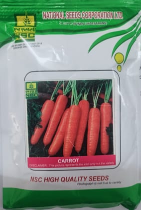 NSC Carrot Pusa Nantes-100 Gram Truthfully Labelled Seed Pouch