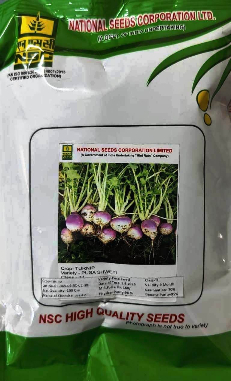 NSC HIGH QUALITY TURNIP PUSA SWETI 100 GM SEED