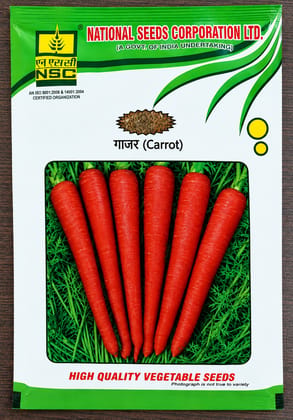 NSC CARROT VARIETY - PUSA RUDHIRA HIGH QUALITY T/L SEEDS - 250 GMS POUCH
