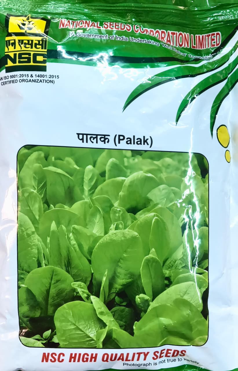 PALAK-ALL GREEN