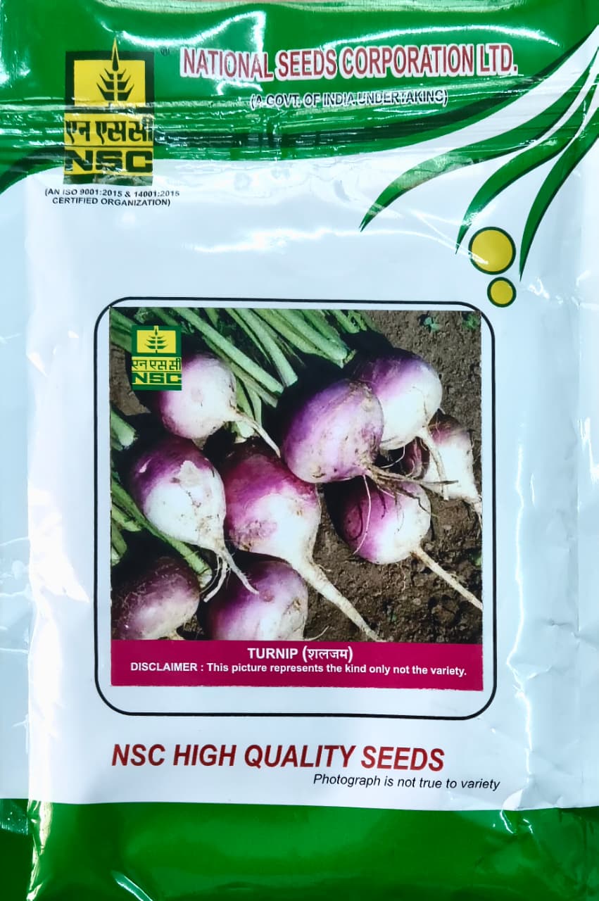 TURNIP - PTWG Variety