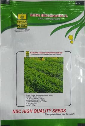 NSC Kashi Manu Water Spinach (Kalmi Sag) TL Seeds (10g) NSC Kashi Manu Water Spinach (Kalmi Sag) TL Seeds (10g)