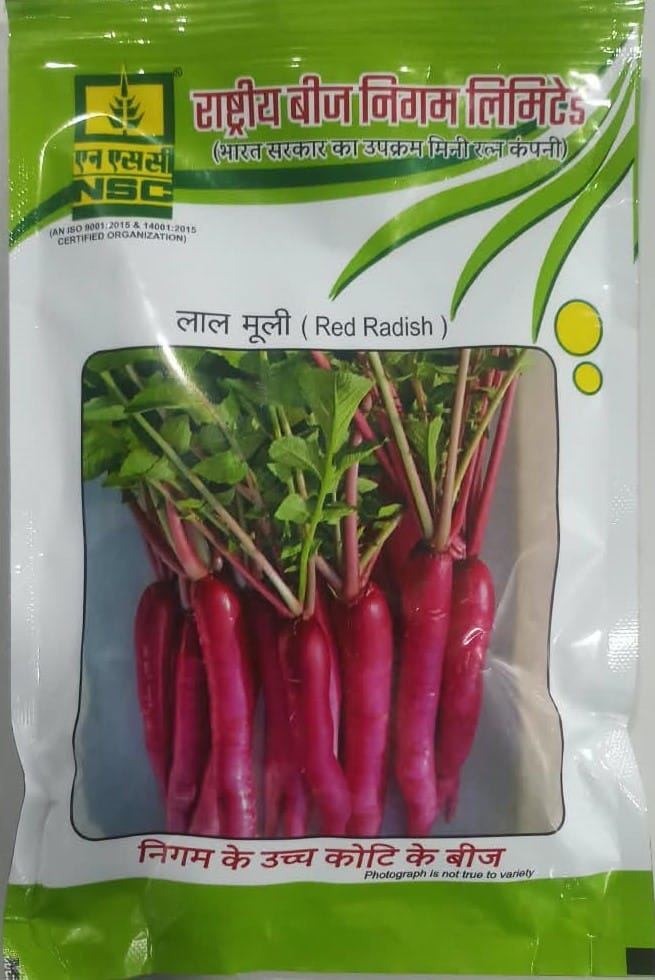 NSC Red Radish Pusa Gulabi Vegetable TL Seeds, 100g