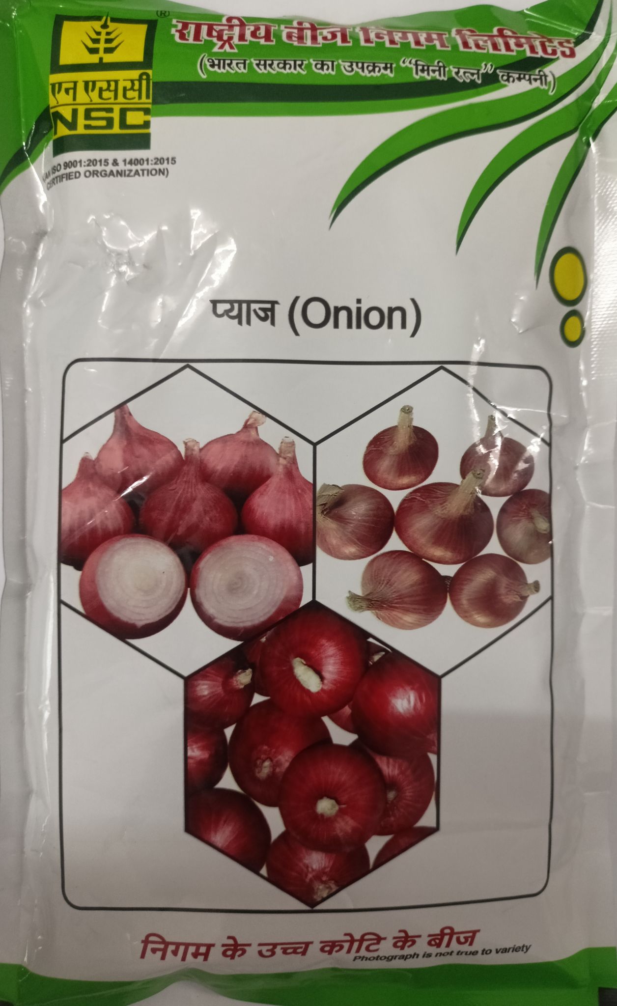 NSC Onion Bhima Super -250 Gram Truthfully Labelled Seed Pouch