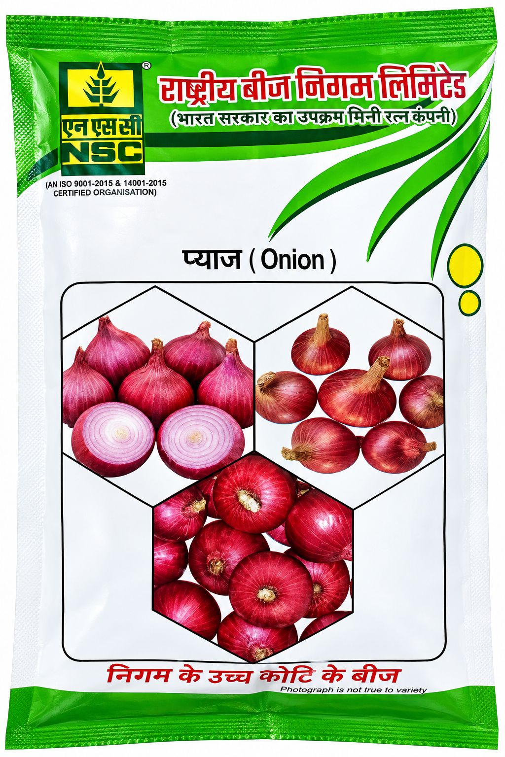 NSC Onion Bhima Shakti-100 Gram Truthfully Labelled Seed Pouch