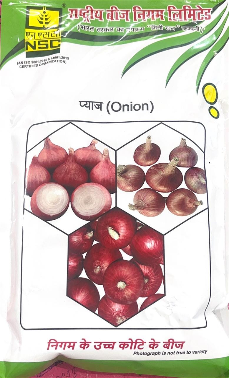 NSC Vegetable Seed Onion Bhima Shakti TL 100 GM