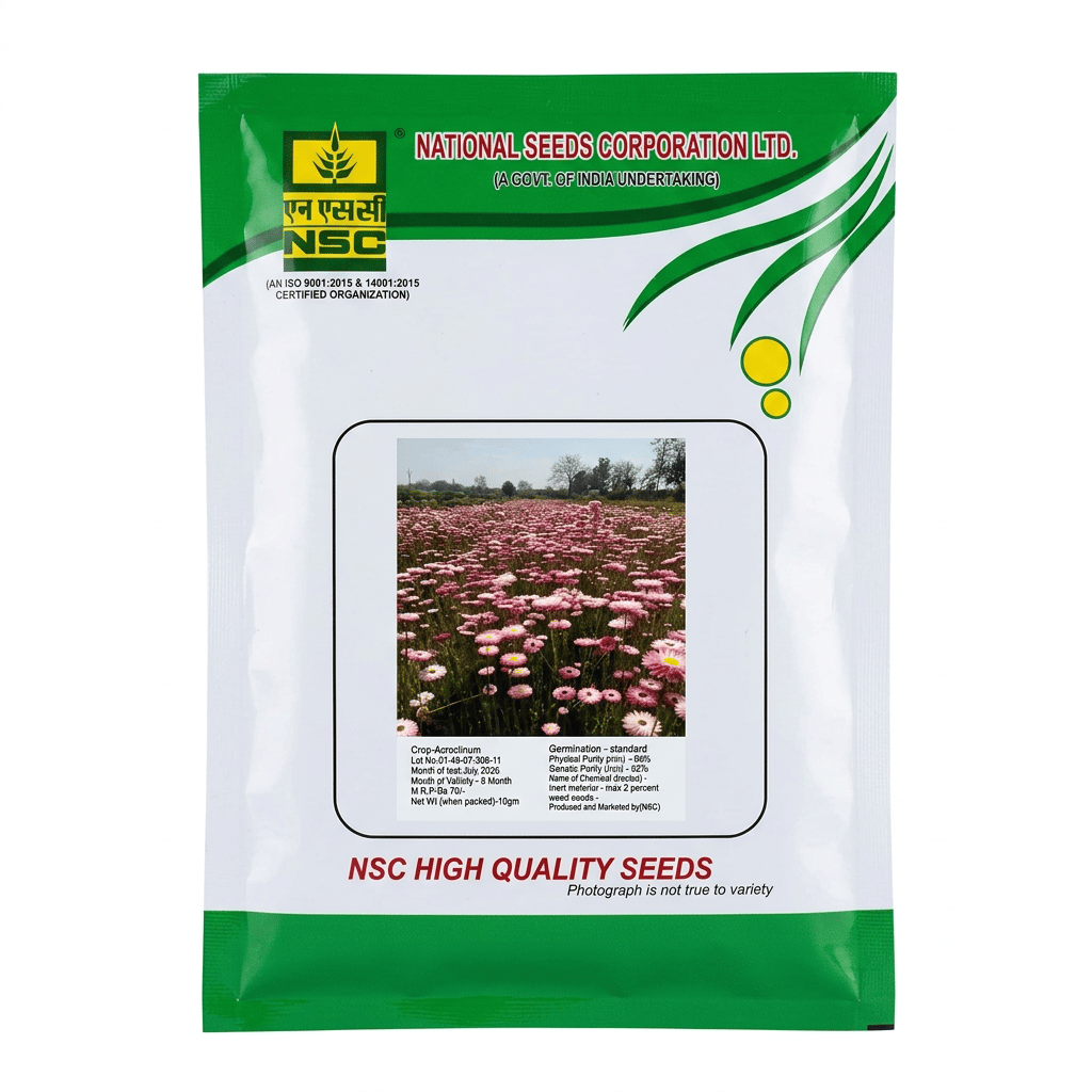NSC Acroclinium Flower, 10 Gram Truthfully Labelled Seed Pouch