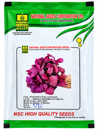 NSC Amaranthus Pusa Lal Chaulai Seed, 10gm