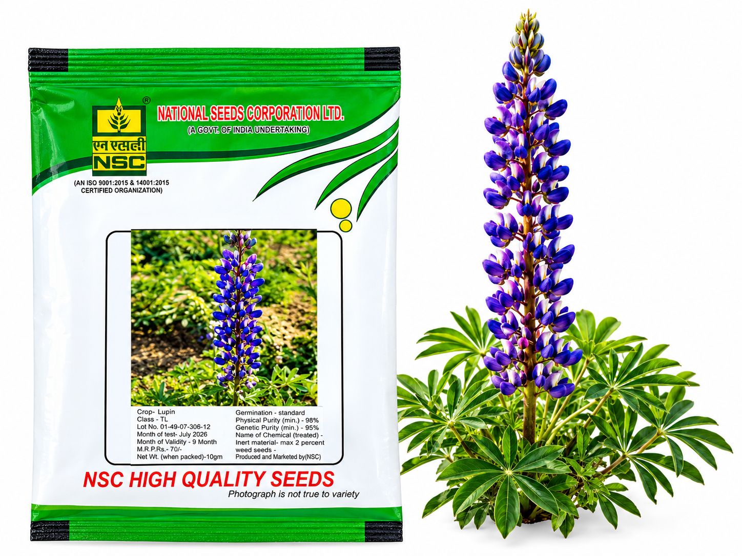 NSC Lupin Flower, 10 gram Truthfully Labelled Seed Pouch
