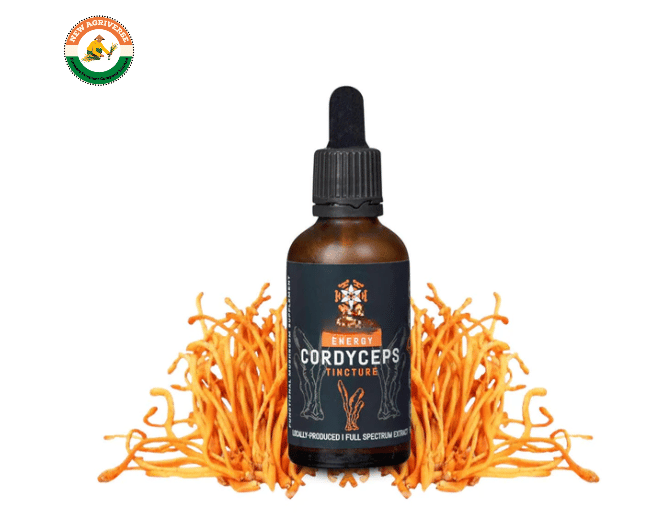 Cordyceps Mushroom Extract Tincture 30ml (60 Servings)