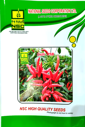 Nsc Chilli Seed, Variety: PSB TL, 50Gm