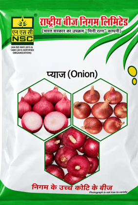 Nsc Onion AFDR  TL 100 Gram
