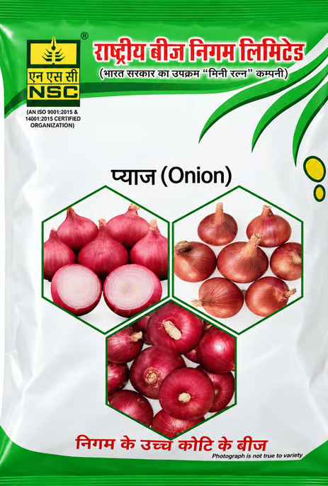 Nsc Onion AFDR  TL 100 Gram