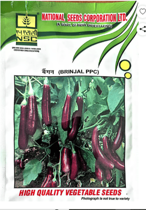 NSC Brinjal PPC