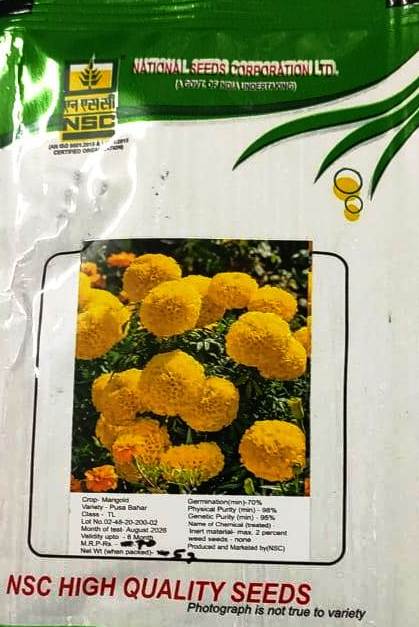 NSC MARIGOLD PUSA BAHAR 5 GM PACK