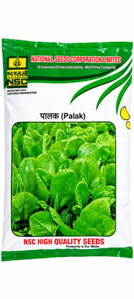 PALAK - ALL GREEN 