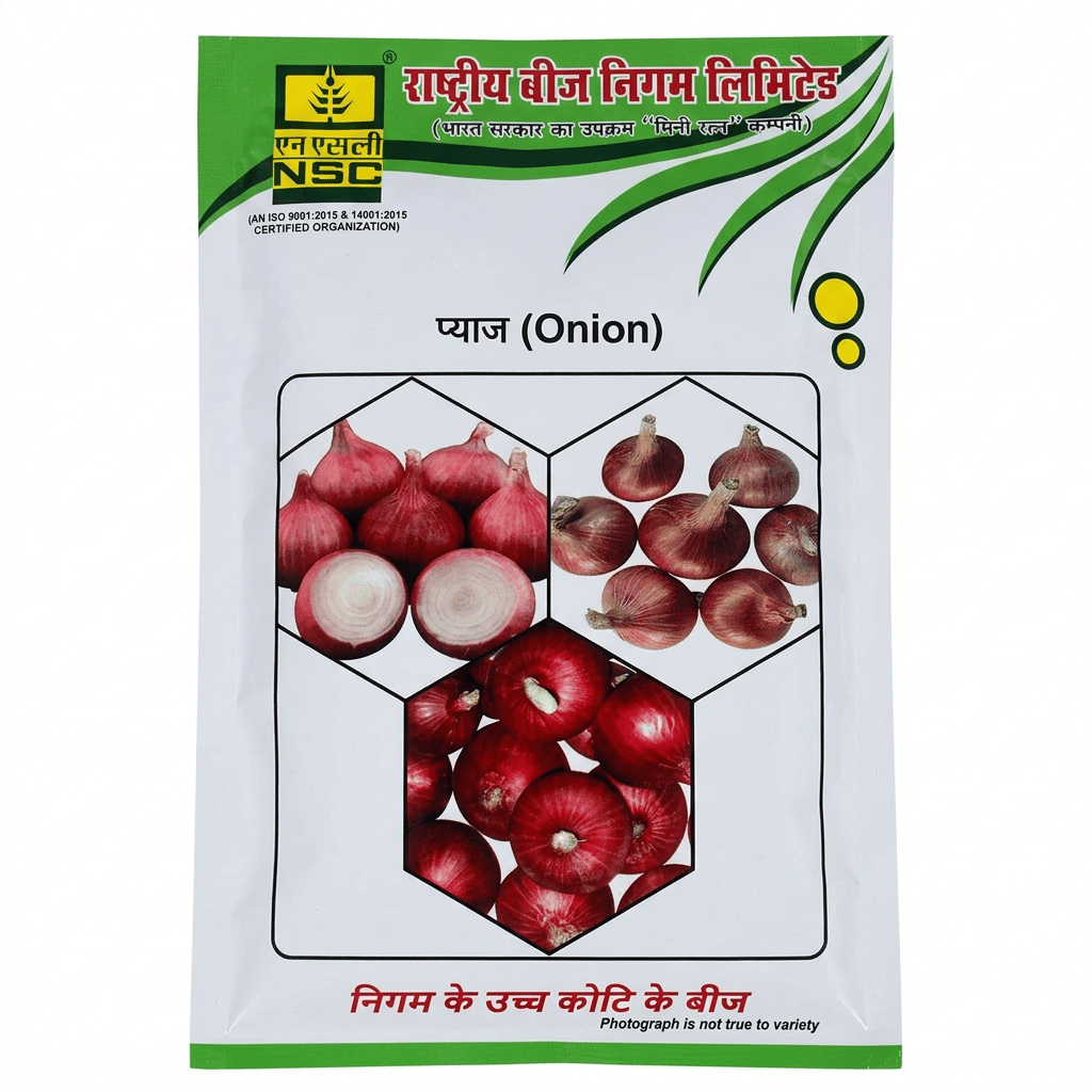 NSC Vegetable Seed Onion Variety: Bhima Shakti,TL, 250 Gms