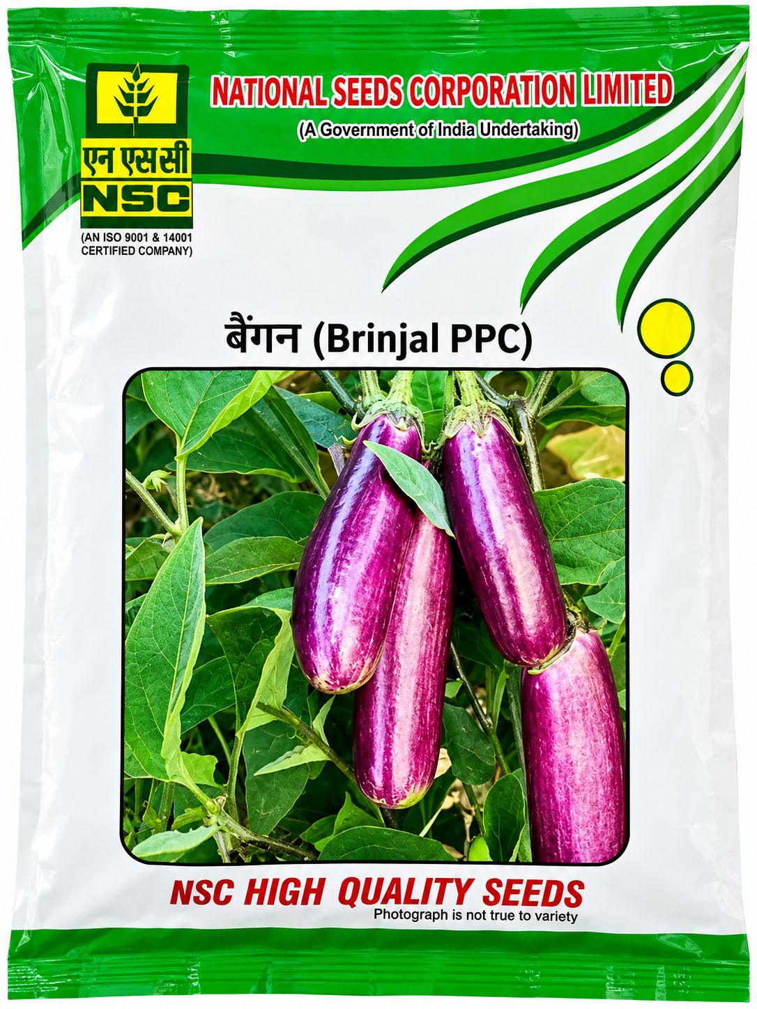 NSC BRINJAL PPC SEED - 100gms