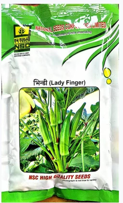 NSC BHINDI PUSA-5 TL