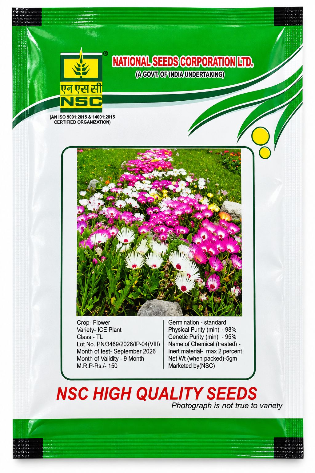 NSC Ice Plant  Flower Seed 5 Gram 
