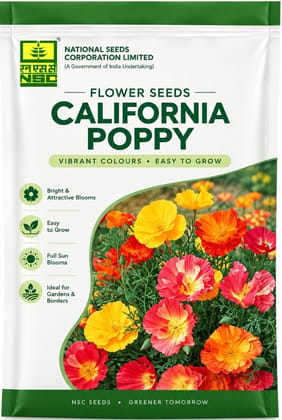 NSC Flower Seed - California Poppy 