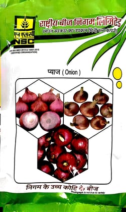 Nsc Onion Variety - Afdr High Quality Tl Seed 100 Gms Pouch