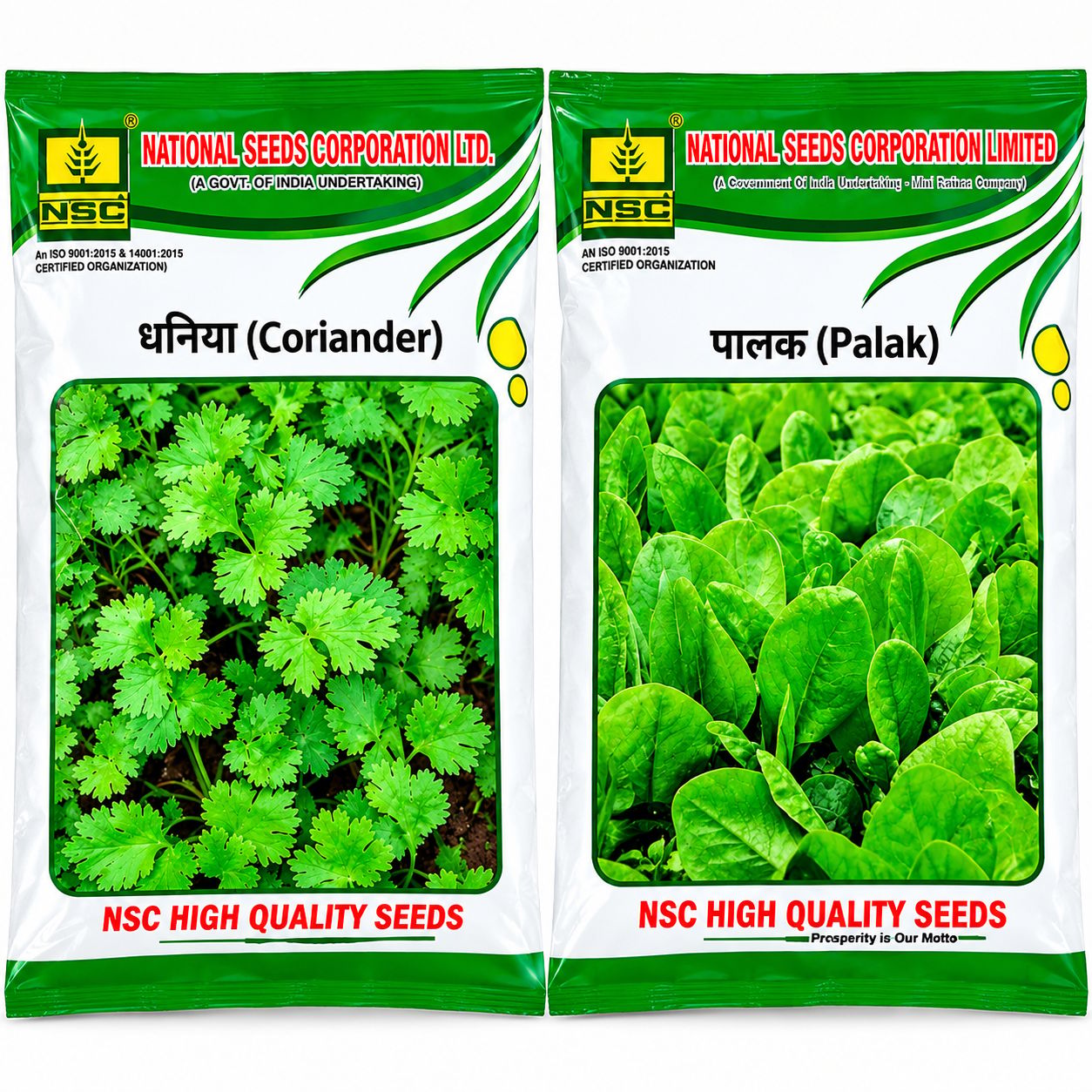 CORIANDAR AND PALK SEEDS CAMBO