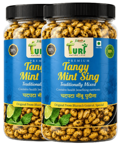 TURF FRESH Tangy Mint Sing Dana | Chatpata Nimbu Pudina Peanuts | Crunchy Snack