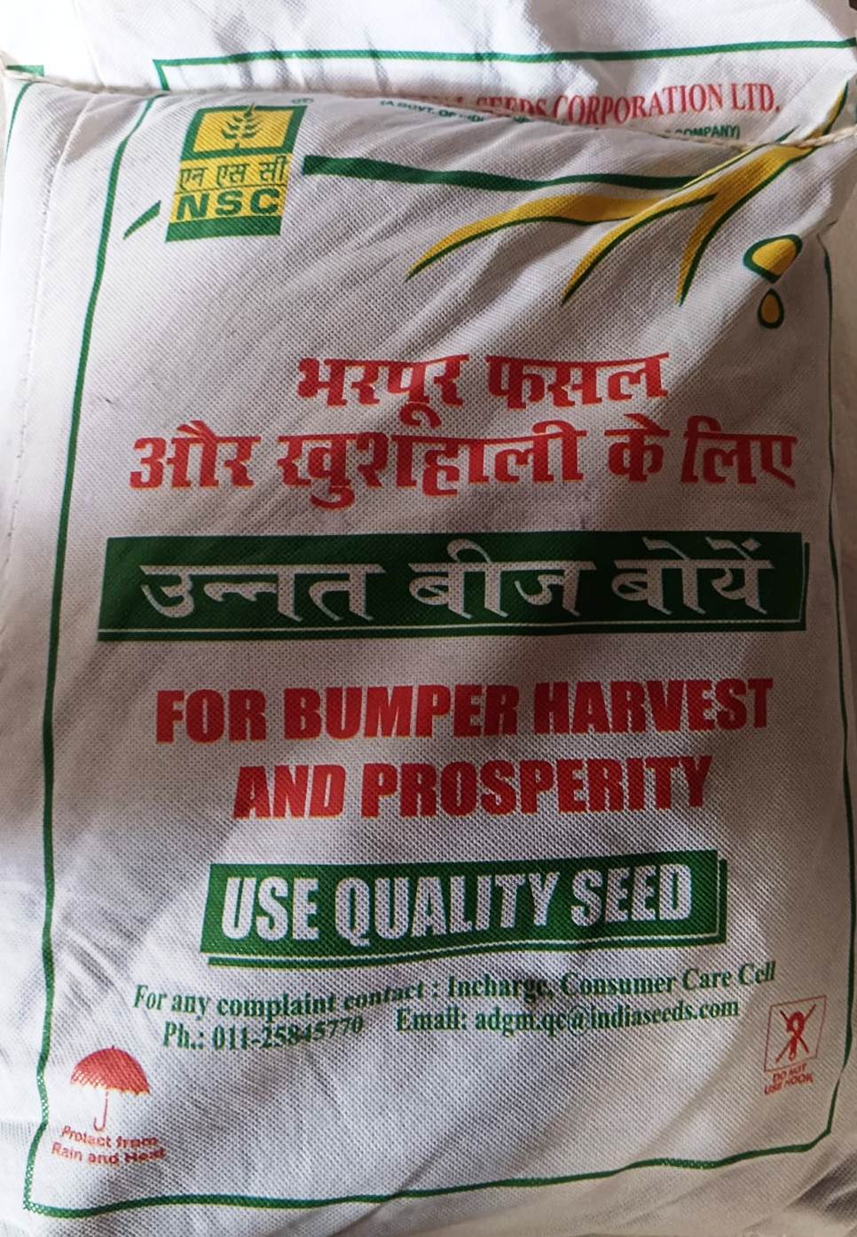 Lentil IPL-315