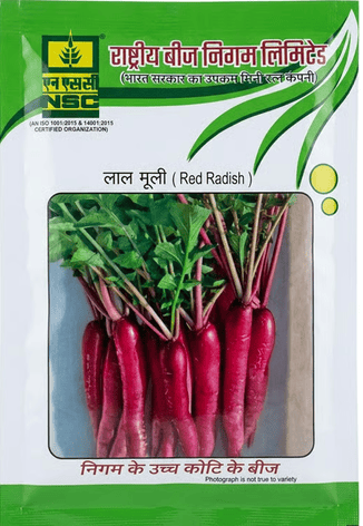 NSC Radish Pusa Gulabi