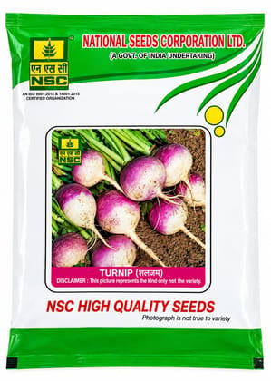 NSC TURNIP VARIETY PTWG HIGH-QUALITY T/L SEEDS - 100 GMS POUCH