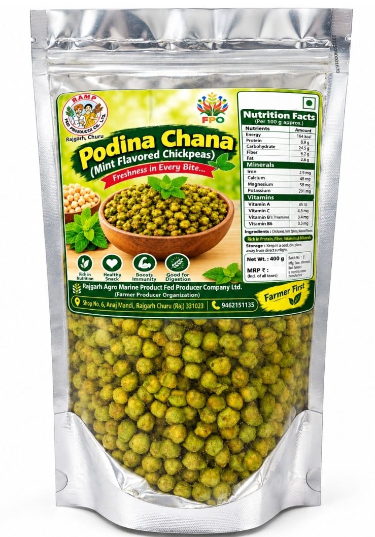 PUDINA CHANA 400GM 