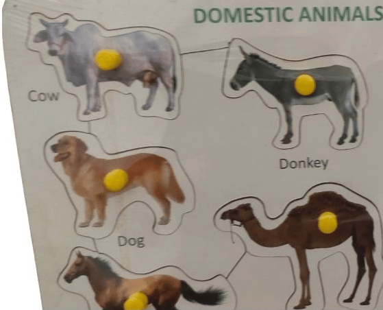 ... ...