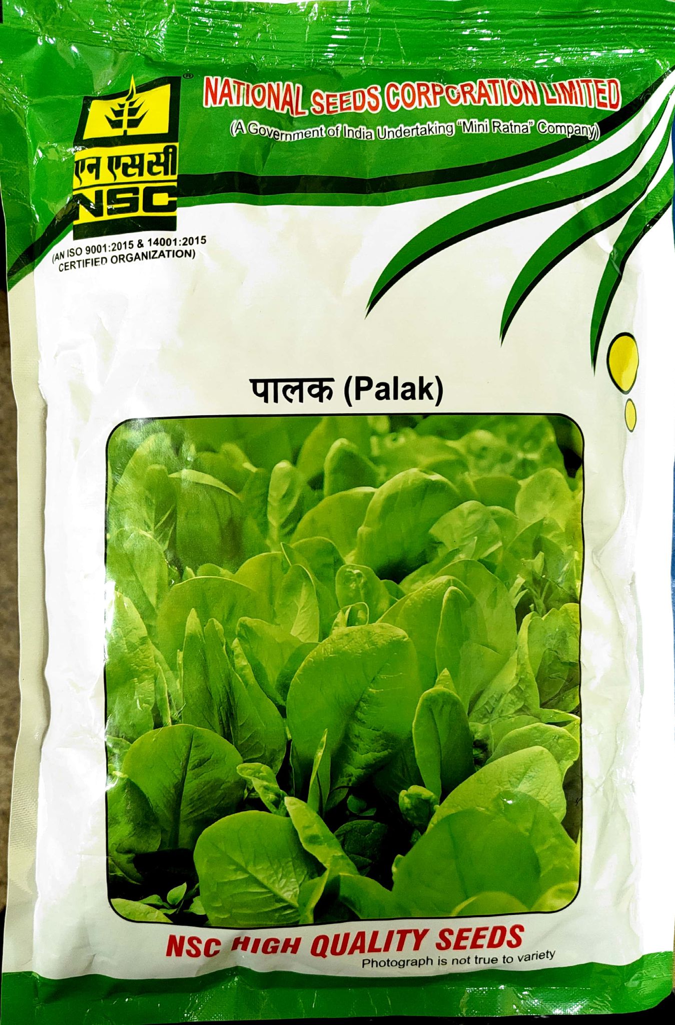 NSC PALAK VARIETY - ALL GREEN HIGH-QUALITY  TL SEED 500 GMS POUCH