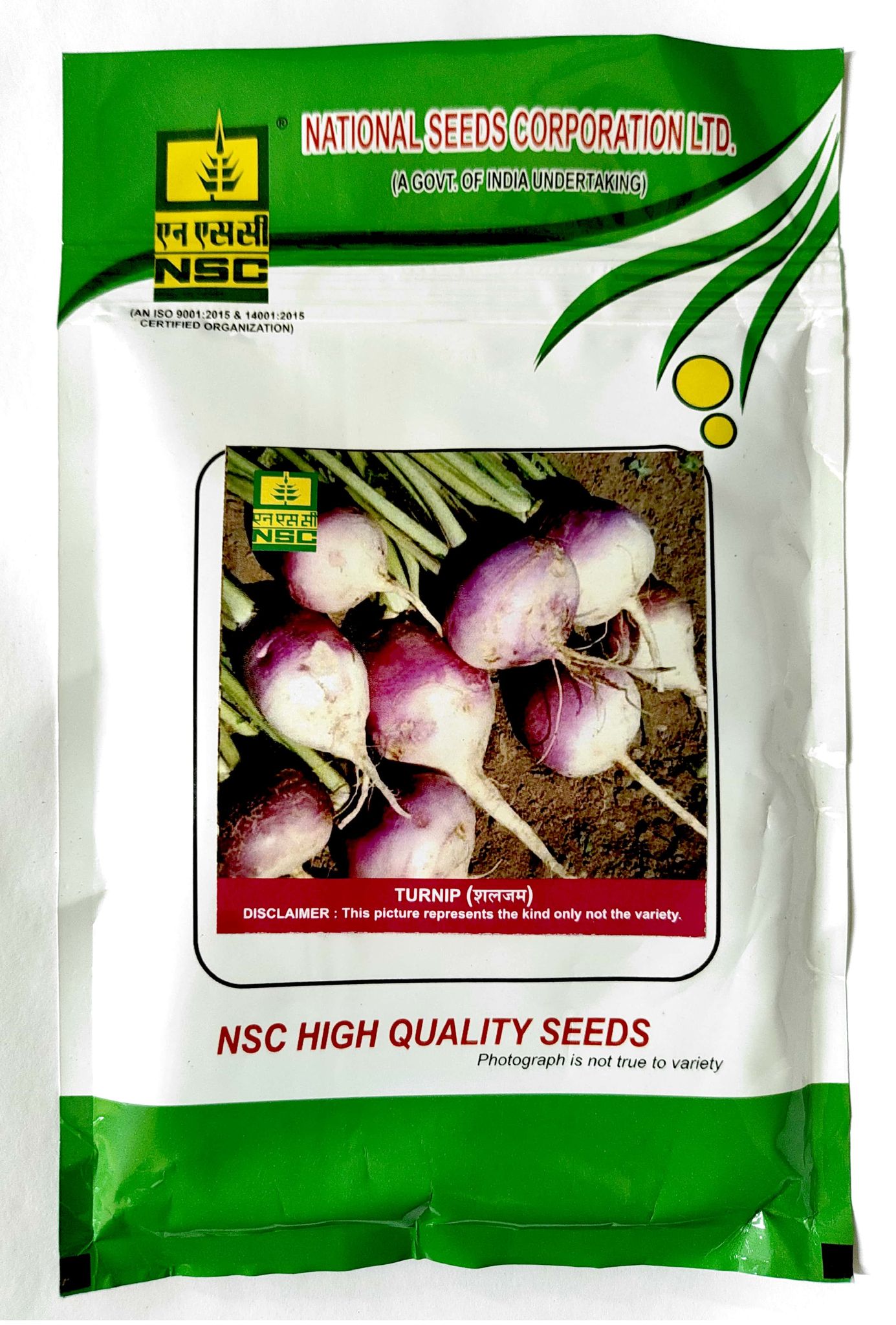 NSC TURNIP VARIETY PTWG HIGH-QUALITY T/L SEEDS - 100 GMS POUCH
