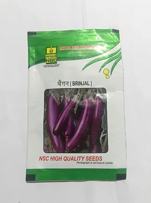 NSC Brinjal Pusa Purple Cluster (PPC) variety, 10 gram T/L seed