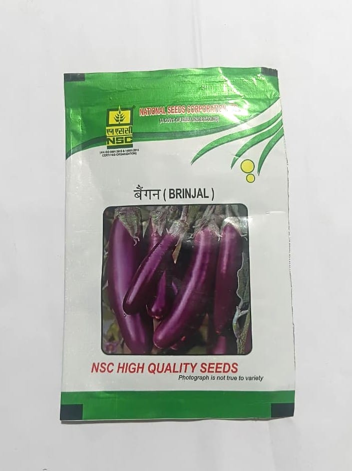 NSC Brinjal Pusa Purple Cluster (PPC) variety, 10 gram T/L seed