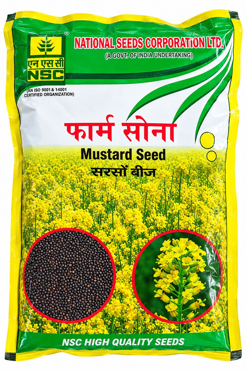 NSC Mustard RH-1975 Truthfully Labelled Seed 