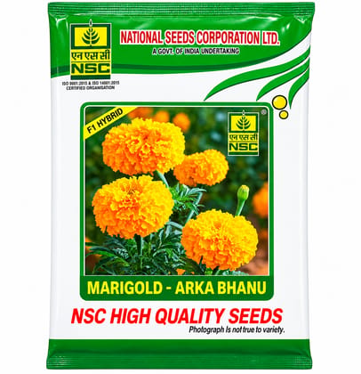 NSC Marigold F1 Hybrid -Arka Bhanu 1 gram seed