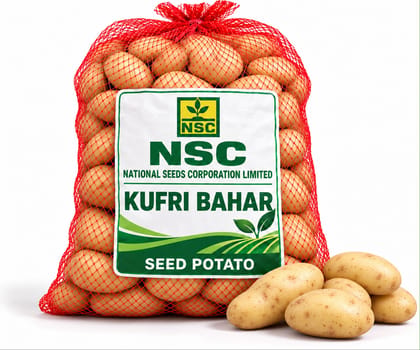 NSC Potato Kufri Bahar 10kg